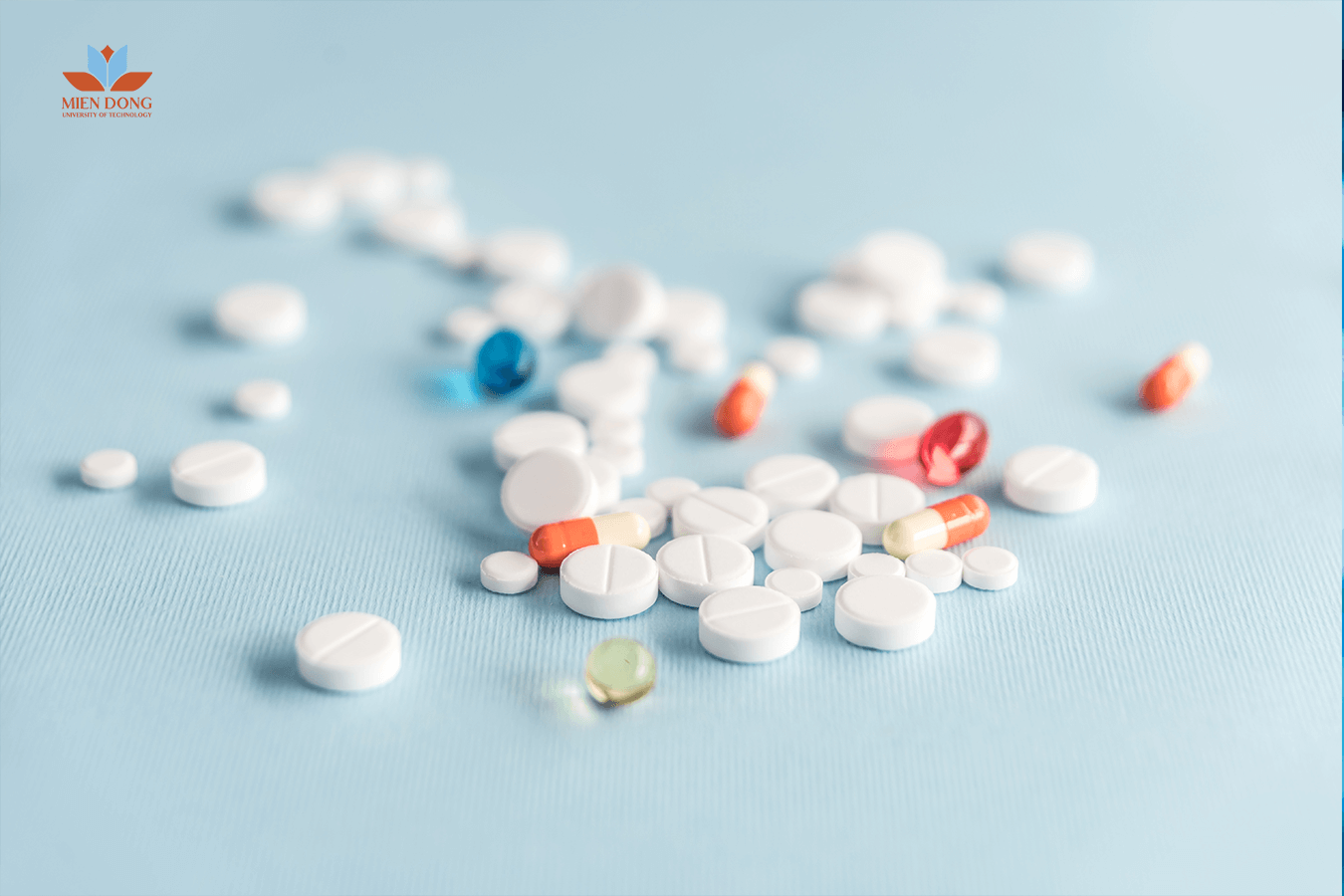 Bạn-có-phù-hợp-với-chuyên-ngành-Quản-lý-và-cung-ứng-thuốc