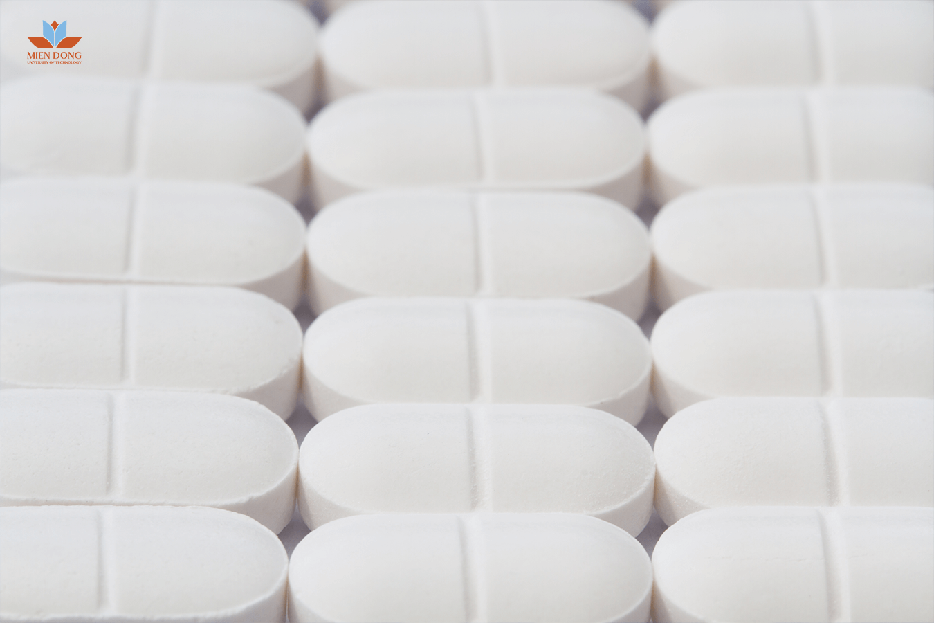 Bạn-có-phù-hợp-với-chuyên-ngành-sản-xuất-và-phát-triển-thuốc