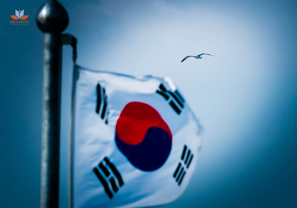 Học-Đông-Phương-học-ra-trường-làm-công-việc-gì