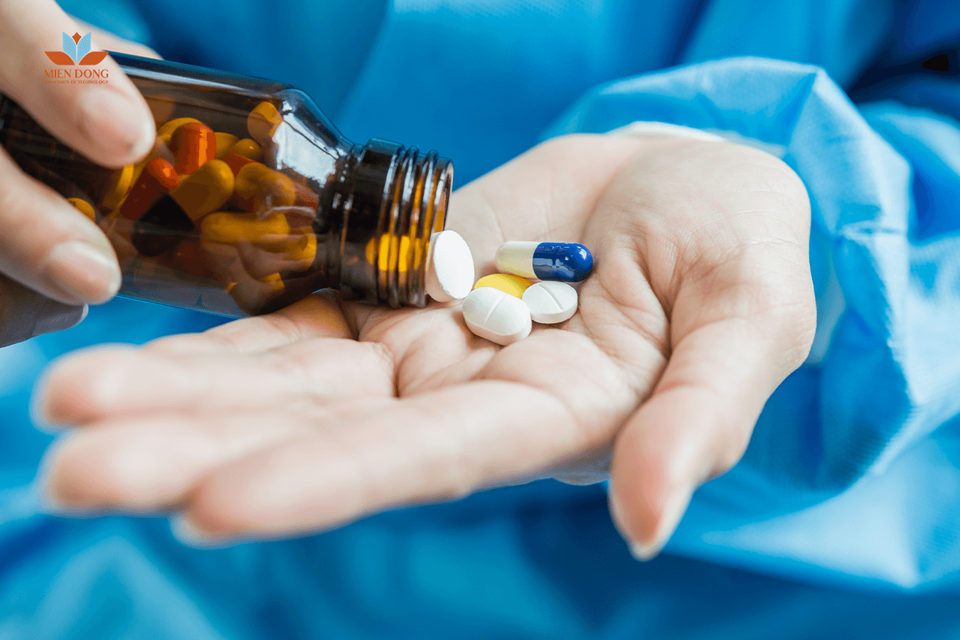 Triển-vọng-nghề-nghiệp-và-cơ-hội-việc-làm-của-chuyên-ngành-Quản-lý-và-cung-ứng-thuốc