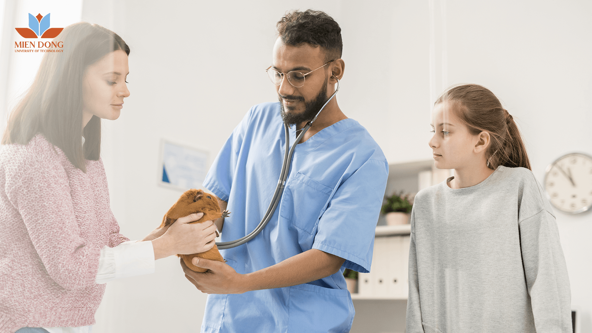 banner nganh thu y la gi