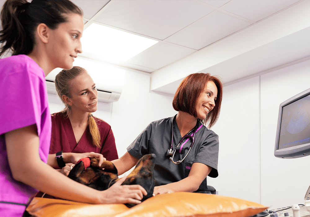 hoc thu y co kho khong