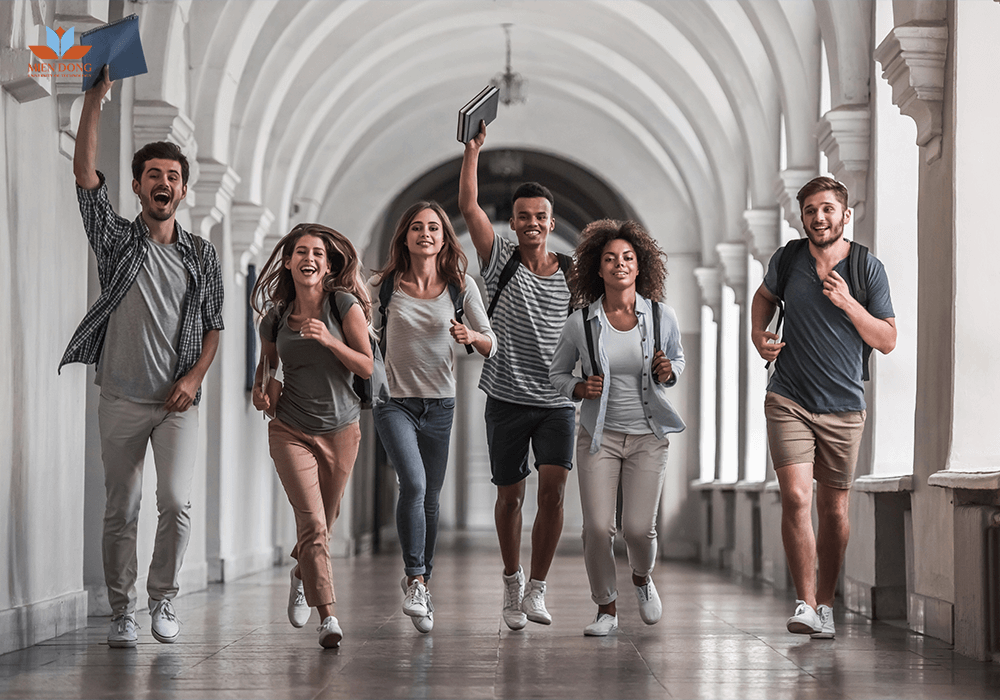 hoc-kinh-te-luat-tai-mit-university